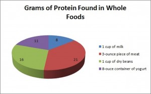 protein in foods