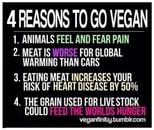 vegan-reasons-to-be