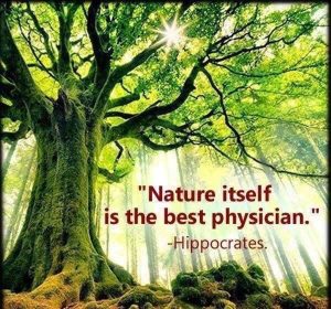 Nature is the best doctor